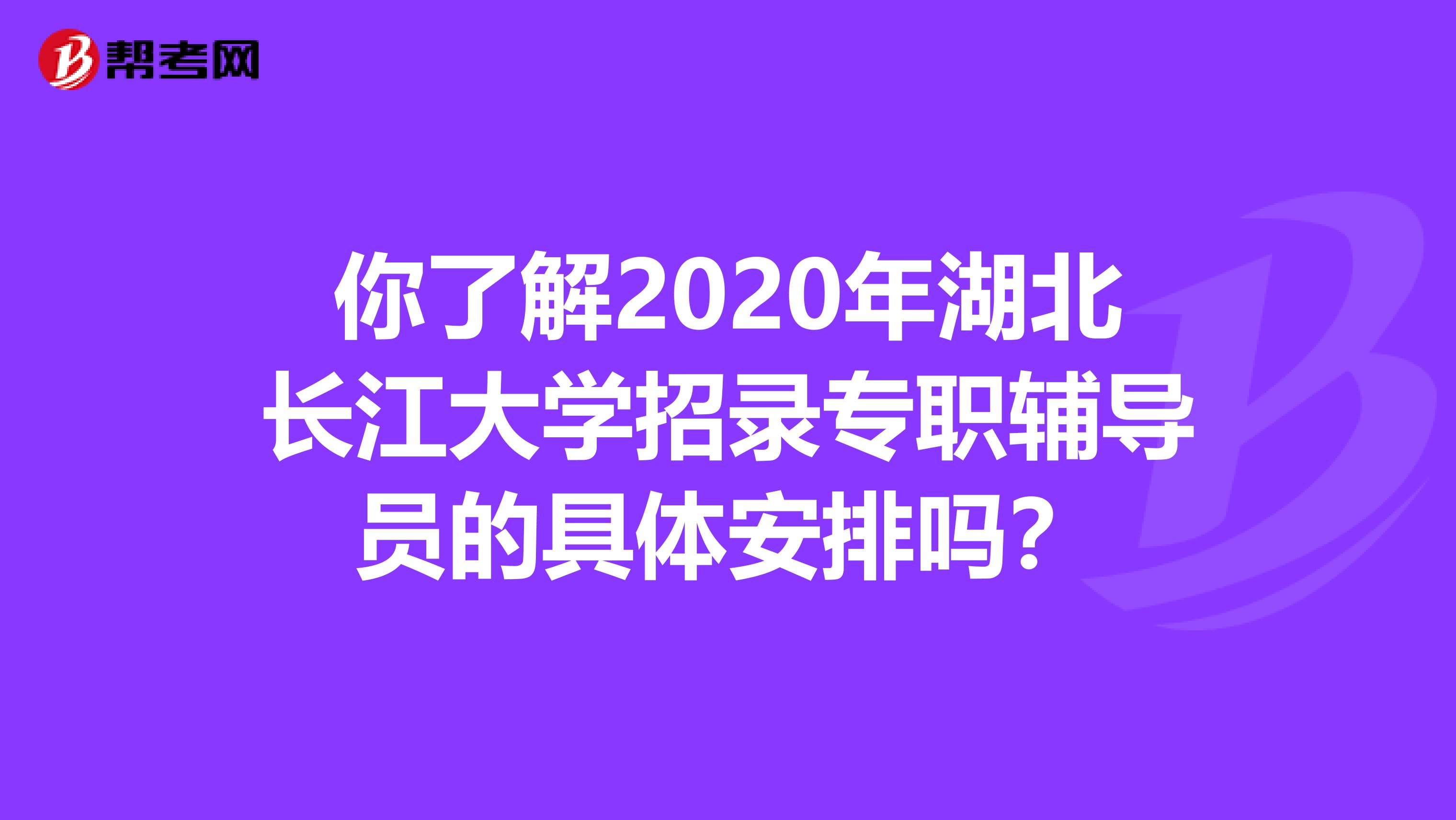 你了解2020年湖北长江大学招录专职辅导员的具体安排吗？