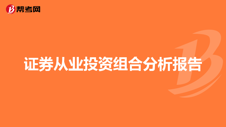 证券从业投资组合分析报告