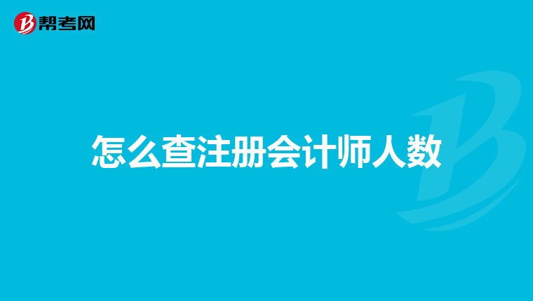 怎么查注册会计师人数