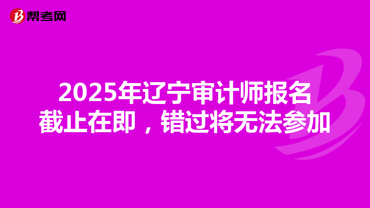 2025年辽宁审计师报名截止在即，错过将无法参加