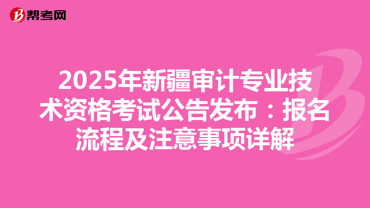 2025年新疆審計專業技術資格考試公告發布：報名流程及注意事項詳解