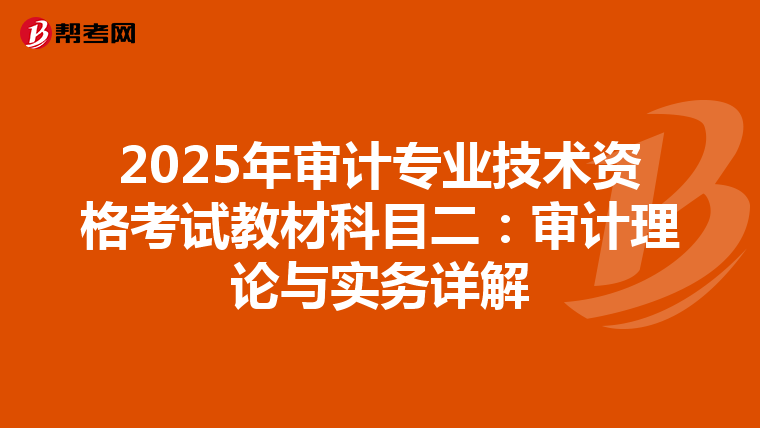 2025年审计专业技术资格考试教材科目二：审计理论与实务详解