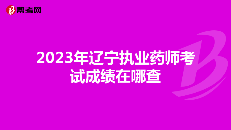 2023年辽宁执业药师考试成绩在哪查