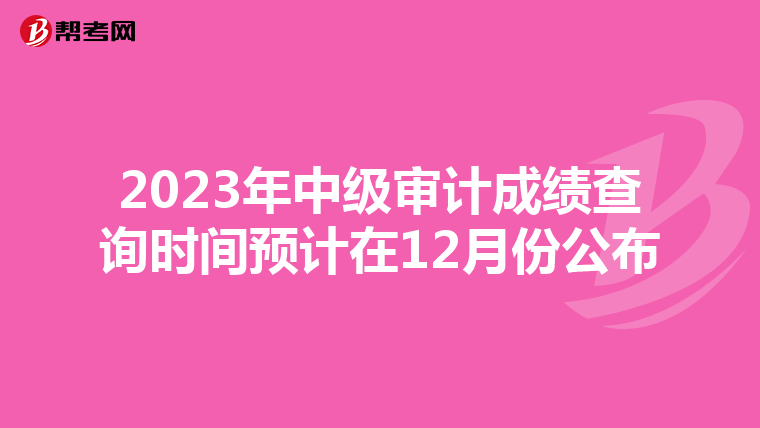 2023年中级审计成绩查询时间预计在12月份公布