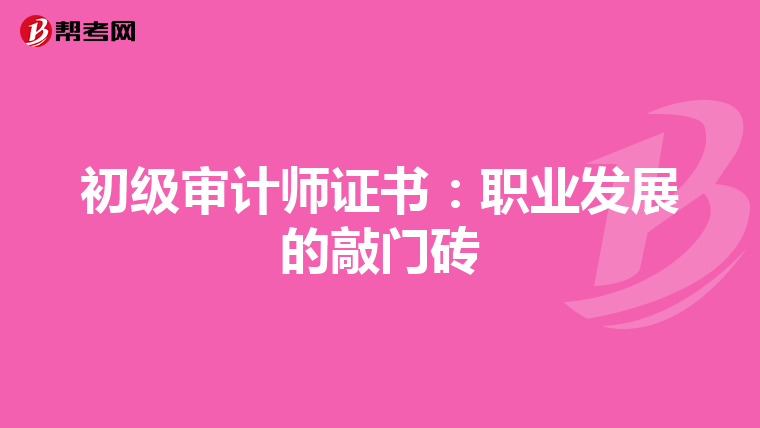 初级审计师证书：职业发展的敲门砖