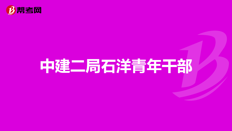 中建二局石洋青年干部