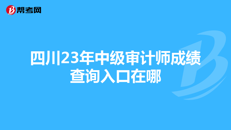 四川23年中级审计师成绩查询入口在哪