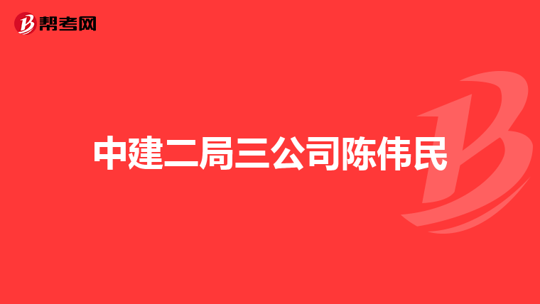 中建二局三公司陈伟民