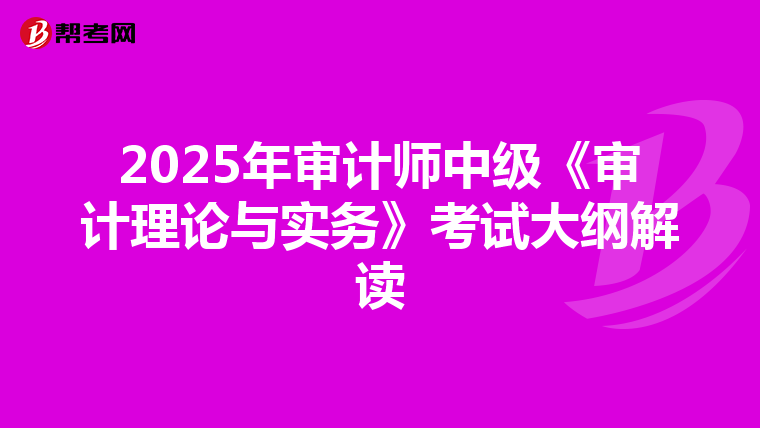 2025年审计师中级《审计理论与实务》考试大纲解读