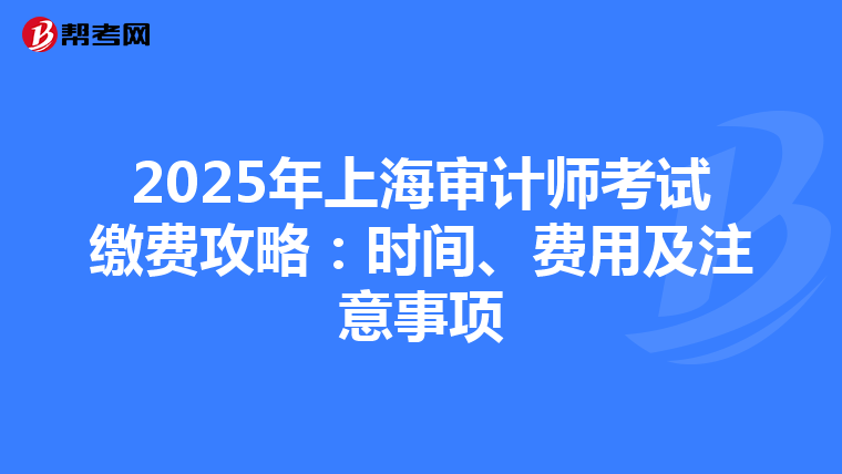 2025年上海审计师考试缴费攻略：时间、费用及注意事项