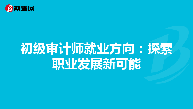 初级审计师就业方向：探索职业发展新可能
