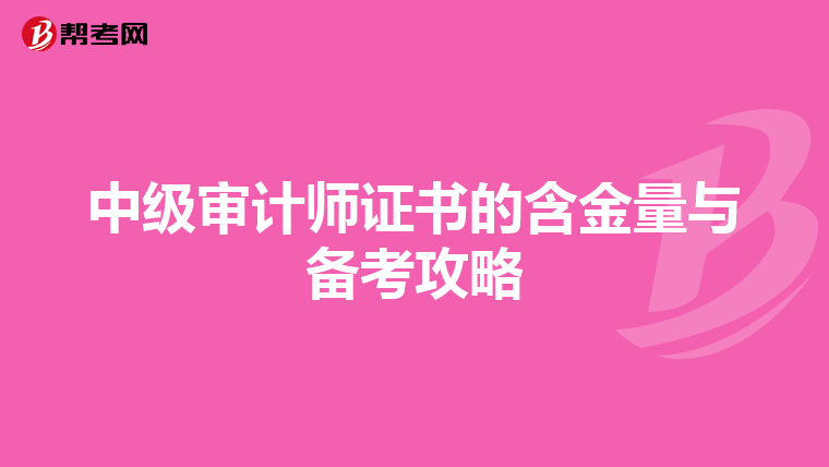 中级审计师证书的含金量与备考攻略