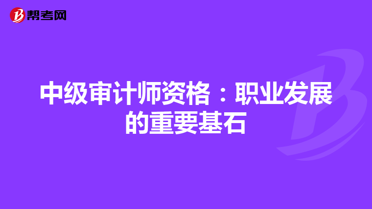 中级审计师资格：职业发展的重要基石