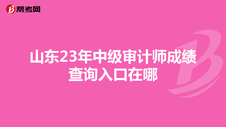 山东23年中级审计师成绩查询入口在哪