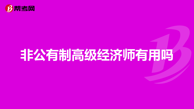 非公有制高级经济师有用吗