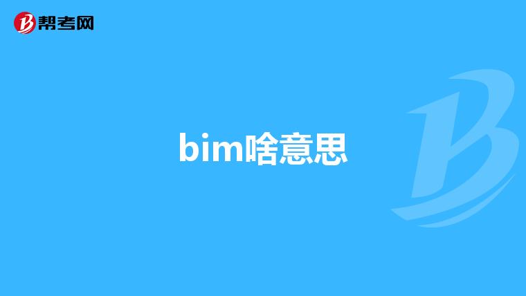 bim啥意思