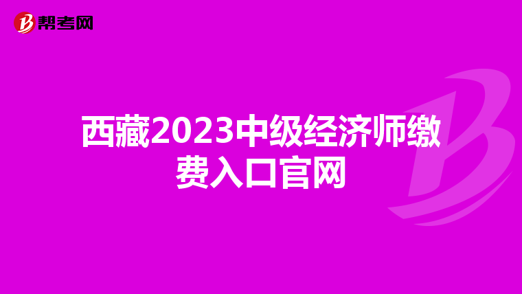 西藏2023中級經(jīng)濟師繳費入口官網(wǎng)