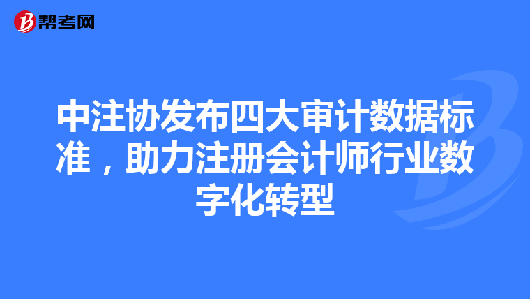 中注協發布四大審計數據標準，助力注冊會計師行業數字化轉型