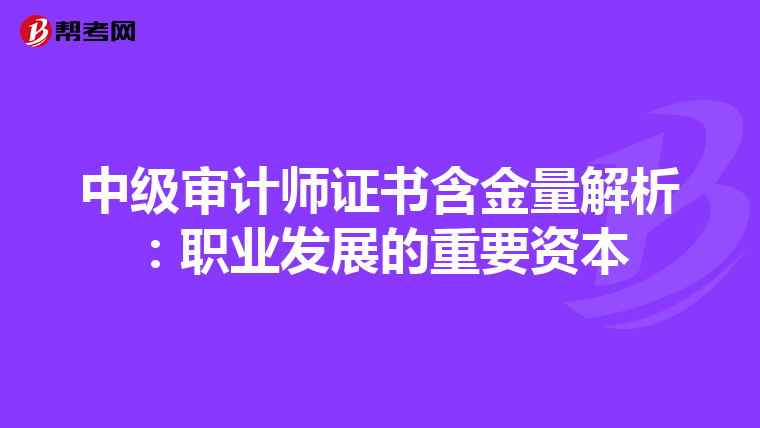 中级审计师证书含金量解析：职业发展的重要资本