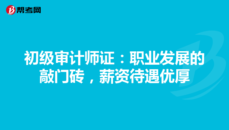 初级审计师证：职业发展的敲门砖，薪资待遇优厚