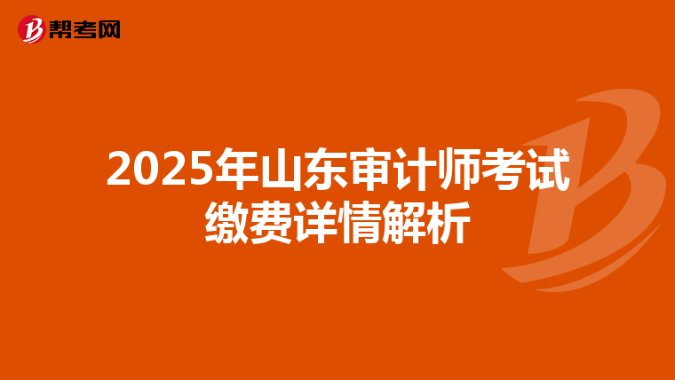 2025年山东审计师考试缴费详情解析