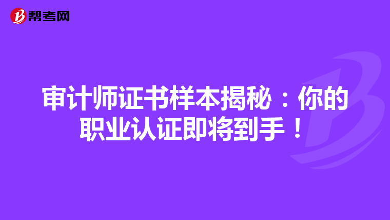 审计师证书样本揭秘：你的职业认证即将到手！