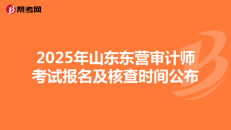 2025年山东东营审计师考试报名及核查时间公布