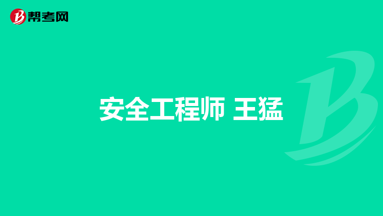 安全工程师 王猛