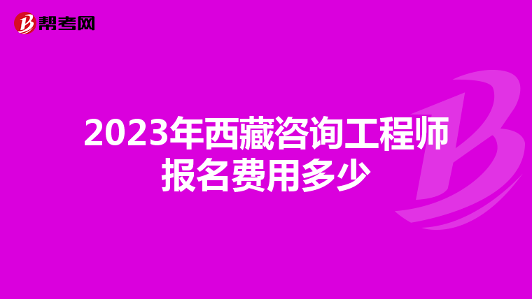 2023年西藏咨询工程师报名费用多少