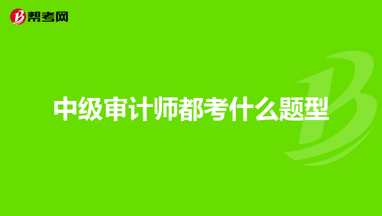 中级审计师都考什么题型