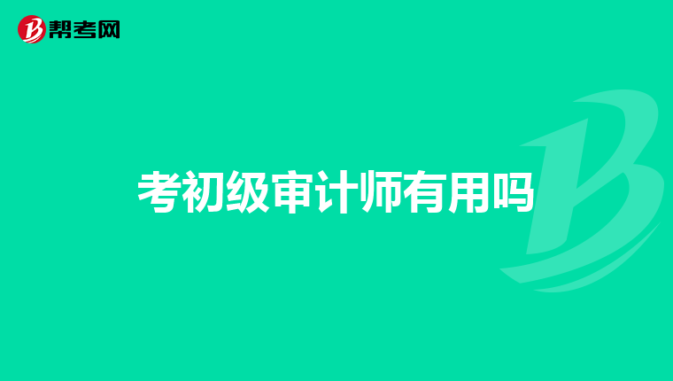 考初级审计师有用吗