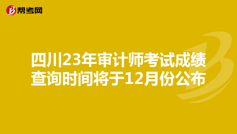 四川23年审计师考试成绩查询时间将于12月份公布