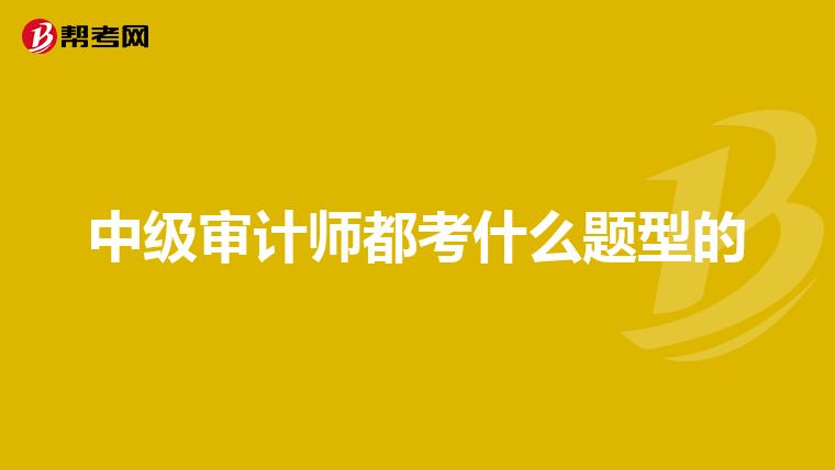 中级审计师都考什么题型的