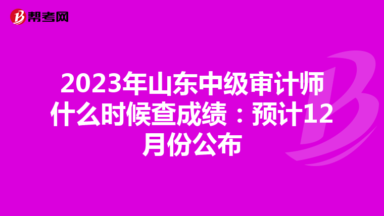 2023年山东中级审计师什么时候查成绩：预计12月份公布