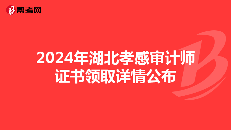 2024年湖北孝感审计师证书领取详情公布