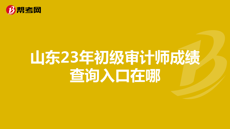 山东23年初级审计师成绩查询入口在哪