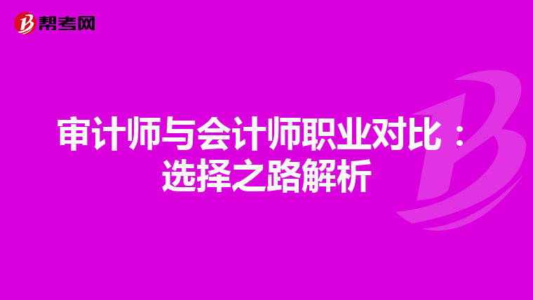 审计师与会计师职业对比：选择之路解析
