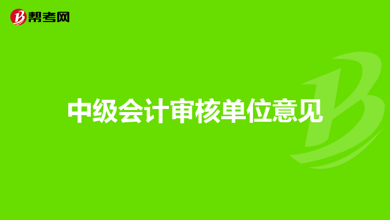 中级会计审核单位意见