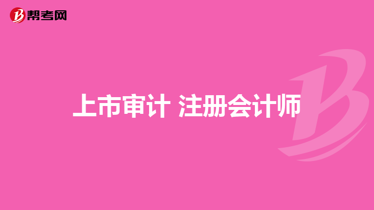 上市审计 注册会计师