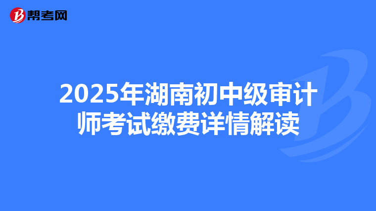 2025年湖南初中级审计师考试缴费详情解读