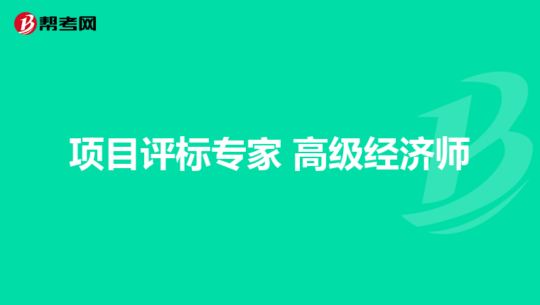 项目评标专家 高级经济师