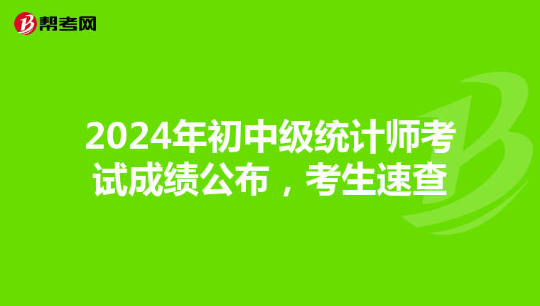 2024年初中级统计师考试成绩公布，考生速查