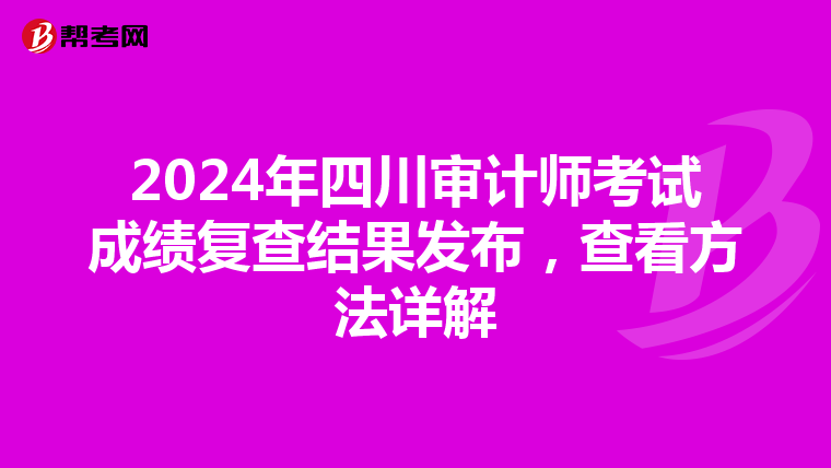 2024年四川审计师考试成绩复查结果发布，查看方法详解