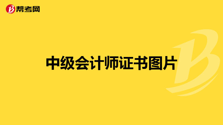 中级会计师证书图片