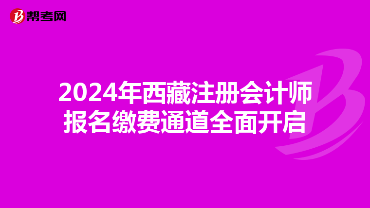 2024年西藏注冊會計師報名繳費通道全面開啟