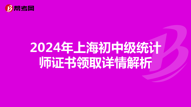 2024年上海初中级统计师证书领取详情解析