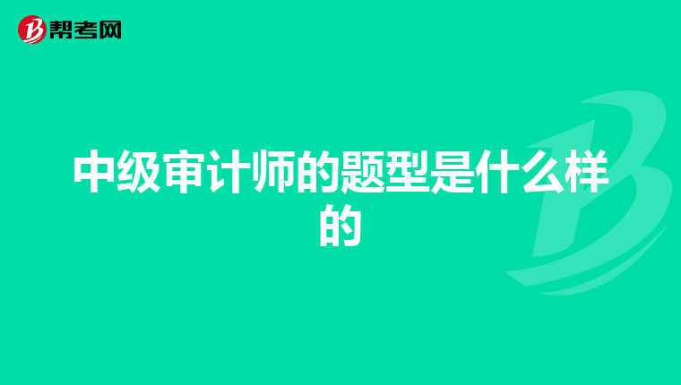 中级审计师的题型是什么样的