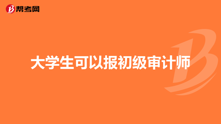 大學(xué)生可以報(bào)初級(jí)審計(jì)師