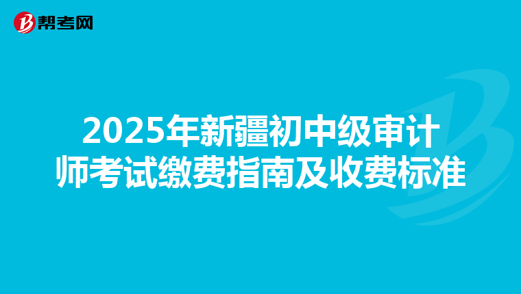2025年新疆初中级审计师考试缴费指南及收费标准