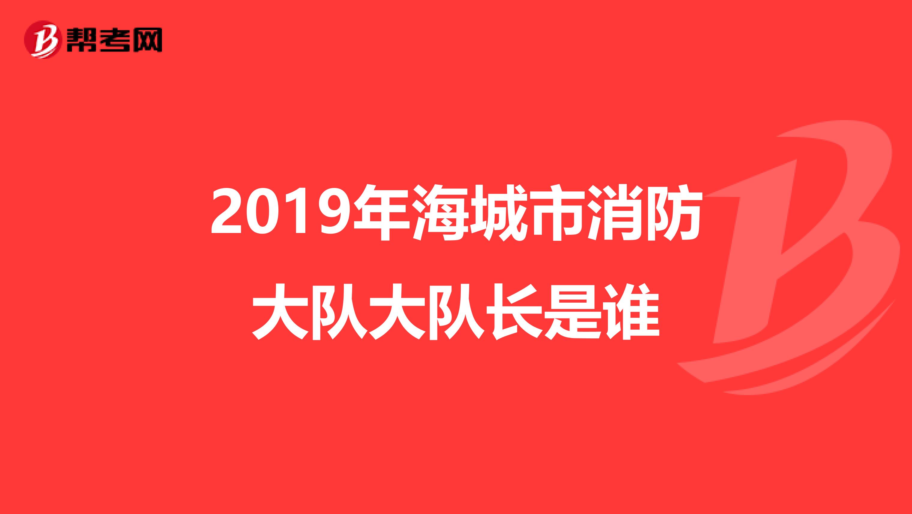 2019年海城市消防大队大队长是谁